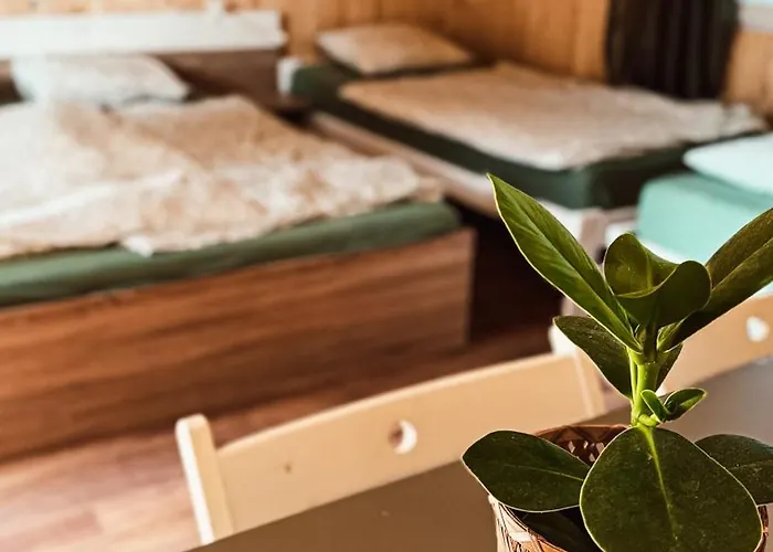Camp Alpa Vakantiepark